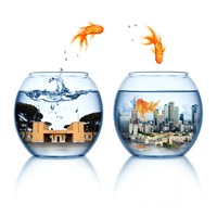 CINEMA ITALIA OGGI 2026 - XV EDYCJA