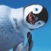 Happy Feet: Tupot maych stp