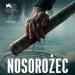 Nosorożec