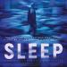 Max Richter's Sleep