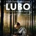 LUBO