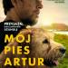 Mój pies Artur