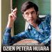 Dzień Petera Hujara