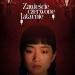 Zawie�cie czerwone latarnie