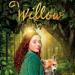 Willow i tajemniczy las